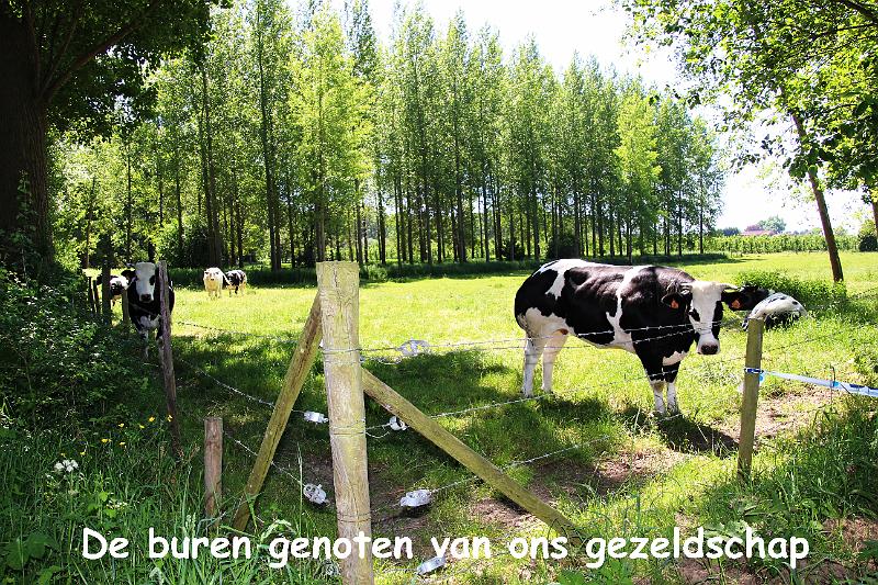 Meat&Greet org.PIPA_ (206).JPG
